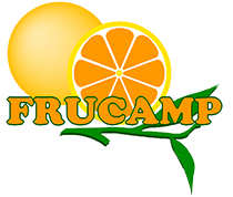 logo.png